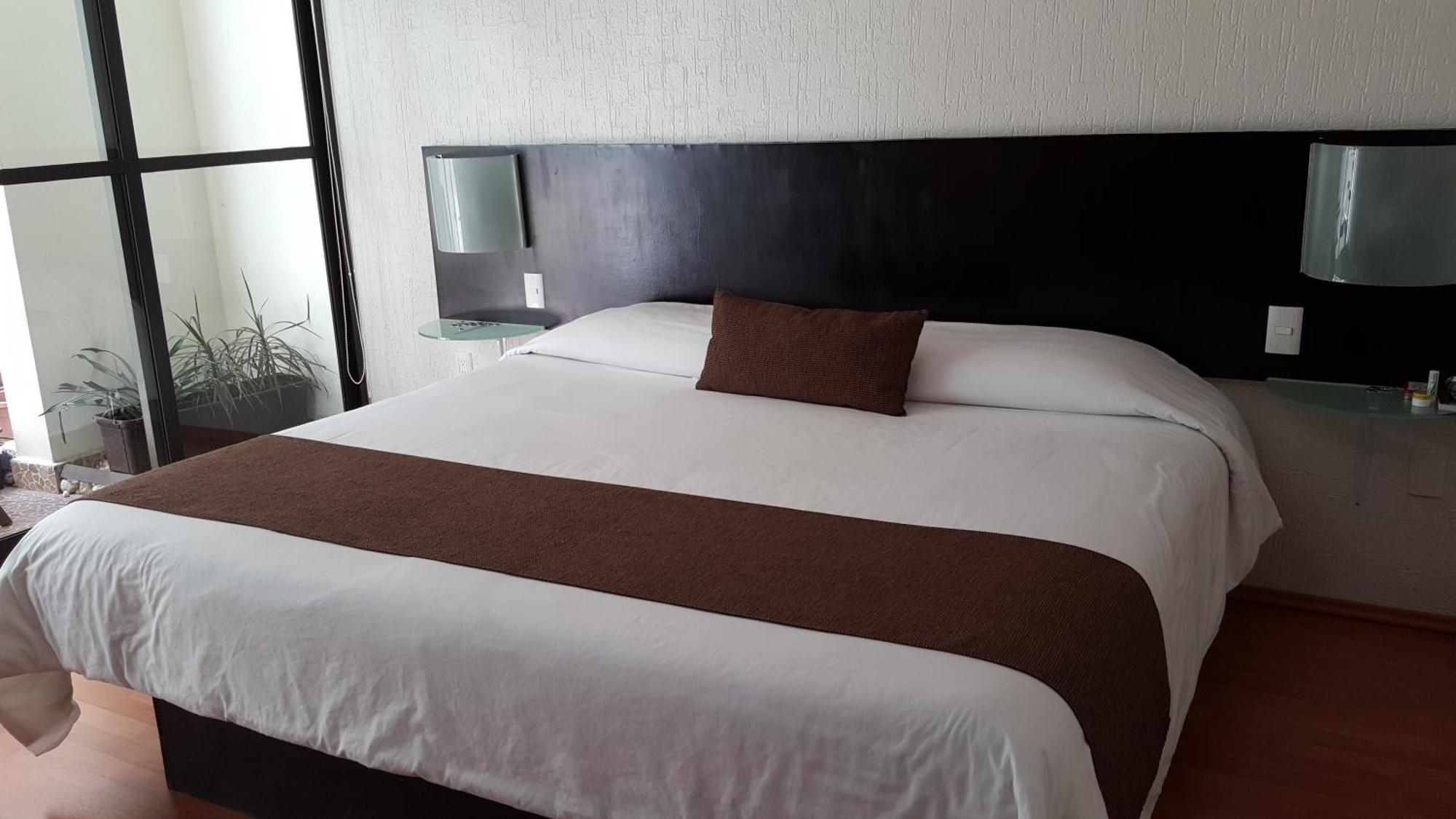 Grupo Kings Suites -Platon 436 Mexico City Room photo